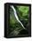 Indian Canyon, Buffalo National River, Arkansas, USA-Charles Gurche-Framed Premier Image Canvas