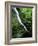 Indian Canyon, Buffalo National River, Arkansas, USA-Charles Gurche-Framed Photographic Print