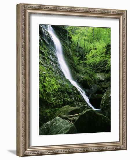 Indian Canyon, Buffalo National River, Arkansas, USA-Charles Gurche-Framed Photographic Print