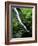 Indian Canyon, Buffalo National River, Arkansas, USA-Charles Gurche-Framed Photographic Print