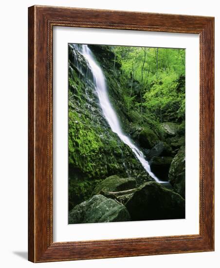 Indian Canyon, Buffalo National River, Arkansas, USA-Charles Gurche-Framed Photographic Print