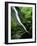 Indian Canyon, Buffalo National River, Arkansas, USA-Charles Gurche-Framed Photographic Print