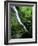 Indian Canyon, Buffalo National River, Arkansas, USA-Charles Gurche-Framed Photographic Print