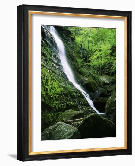 Indian Canyon, Buffalo National River, Arkansas, USA-Charles Gurche-Framed Photographic Print