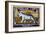 Indian Cat-null-Framed Art Print