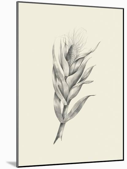 Indian Corn-Maria Mendez-Mounted Art Print