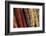 Indian corn-Jim Engelbrecht-Framed Photographic Print