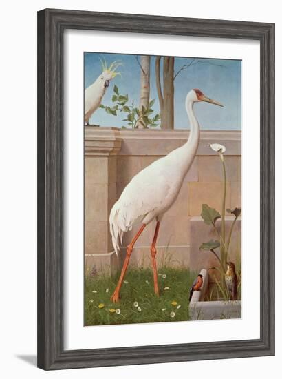 Indian Crane, Cockatoo, Bullfinch and Thrush-Herbert Hofer-Framed Giclee Print