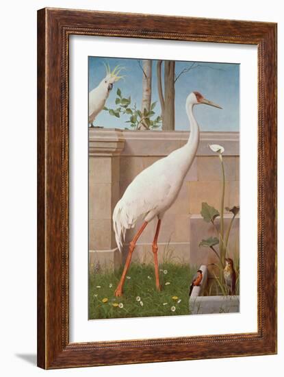 Indian Crane, Cockatoo, Bullfinch and Thrush-Herbert Hofer-Framed Giclee Print