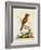 Indian Crested Butcher Bird, May 1742-George Edwards-Framed Giclee Print