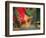 Indian Cultural Dances, Port of Spain, Trinidad, Caribbean-Greg Johnston-Framed Photographic Print