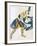 Indian Dance' (La Marquise De Casat), 1912-Leon Bakst-Framed Giclee Print