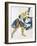 Indian Dance' (La Marquise De Casat), 1912-Leon Bakst-Framed Giclee Print