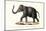 Indian Elephant, 1824-Karl Joseph Brodtmann-Mounted Giclee Print