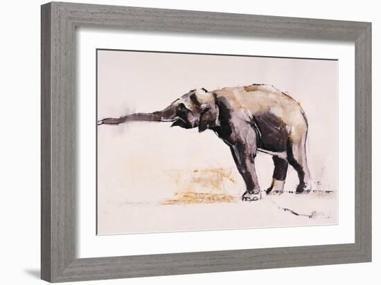 Indian Elephant, Khana-Mark Adlington-Framed Giclee Print