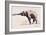 Indian Elephant, Khana-Mark Adlington-Framed Giclee Print