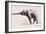 Indian Elephant, Khana-Mark Adlington-Framed Giclee Print