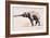 Indian Elephant, Khana-Mark Adlington-Framed Giclee Print