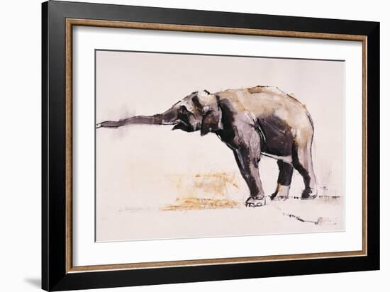 Indian Elephant, Khana-Mark Adlington-Framed Giclee Print