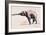 Indian Elephant, Khana-Mark Adlington-Framed Giclee Print