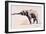 Indian Elephant, Khana-Mark Adlington-Framed Giclee Print