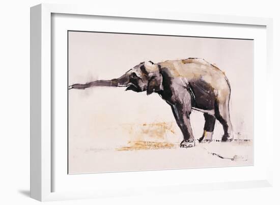 Indian Elephant, Khana-Mark Adlington-Framed Giclee Print