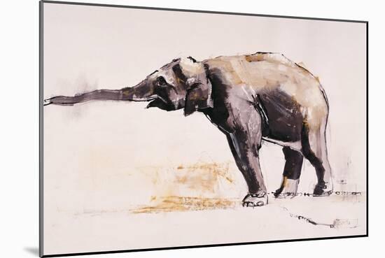 Indian Elephant, Khana-Mark Adlington-Mounted Giclee Print