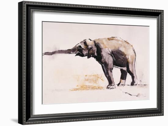 Indian Elephant, Khana-Mark Adlington-Framed Giclee Print