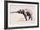 Indian Elephant, Khana-Mark Adlington-Framed Giclee Print