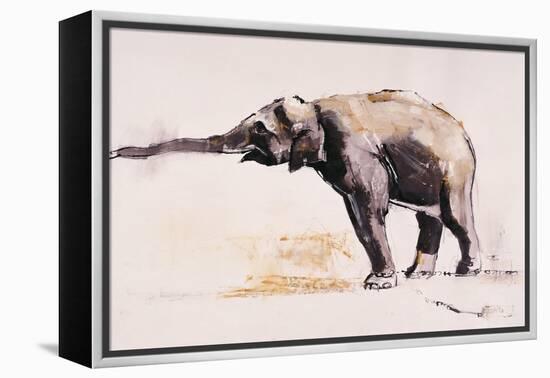 Indian Elephant, Khana-Mark Adlington-Framed Premier Image Canvas