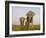 Indian Elephant Mother with 5-Day Baby and its Older Sibling, Controlled Conditions, Assam, India-T.j. Rich-Framed Photographic Print