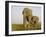 Indian Elephant Mother with 5-Day Baby and its Older Sibling, Controlled Conditions, Assam, India-T.j. Rich-Framed Photographic Print