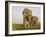 Indian Elephant Mother with 5-Day Baby and its Older Sibling, Controlled Conditions, Assam, India-T.j. Rich-Framed Photographic Print