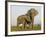 Indian Elephant Mother with 5-Day Baby and its Older Sibling, Controlled Conditions, Assam, India-T.j. Rich-Framed Photographic Print