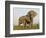 Indian Elephant Mother with 5-Day Baby and its Older Sibling, Controlled Conditions, Assam, India-T.j. Rich-Framed Photographic Print