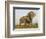 Indian Elephant Mother with 5-Day Baby and its Older Sibling, Controlled Conditions, Assam, India-T.j. Rich-Framed Photographic Print