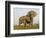 Indian Elephant Mother with 5-Day Baby and its Older Sibling, Controlled Conditions, Assam, India-T.j. Rich-Framed Photographic Print