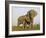 Indian Elephant Mother with 5-Day Baby and its Older Sibling, Controlled Conditions, Assam, India-T.j. Rich-Framed Photographic Print