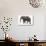 Indian Elephant Walking-DLILLC-Photographic Print displayed on a wall