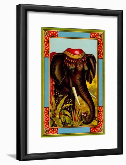 Indian Elephant with Beanie-null-Framed Art Print