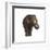 Indian Elephant-DLILLC-Framed Photographic Print