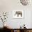 Indian Elephant-null-Framed Art Print displayed on a wall