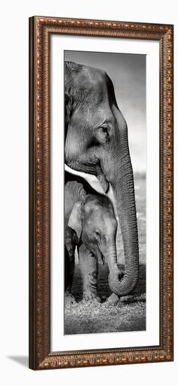 Indian Elephants-Danita Delimont-Framed Art Print