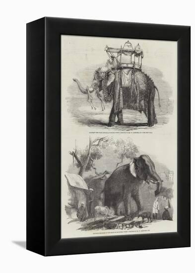 Indian Elephants-William Carpenter-Framed Premier Image Canvas