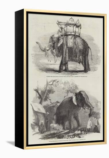 Indian Elephants-William Carpenter-Framed Premier Image Canvas