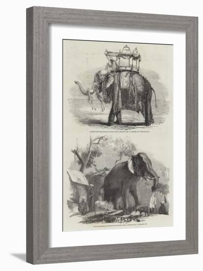 Indian Elephants-William Carpenter-Framed Giclee Print