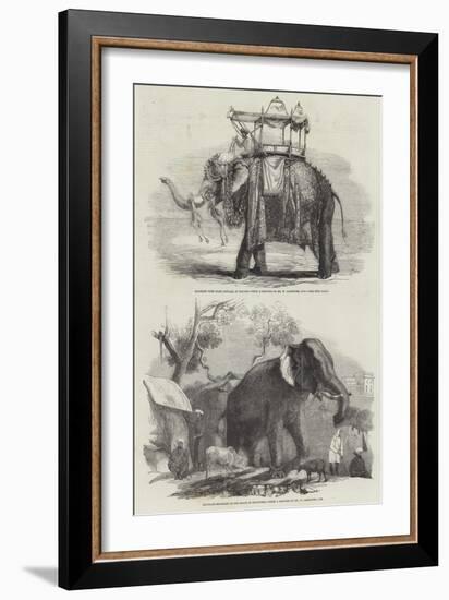 Indian Elephants-William Carpenter-Framed Giclee Print