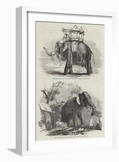 Indian Elephants-William Carpenter-Framed Giclee Print