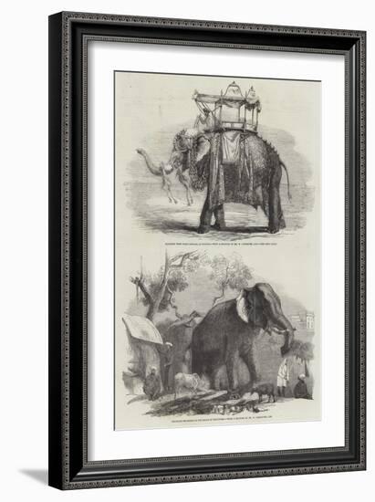 Indian Elephants-William Carpenter-Framed Giclee Print
