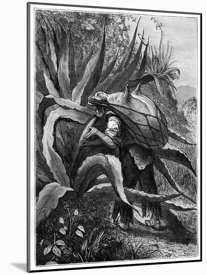 Indian Extracting Pulque, Mexico, 19th Century-Edouard Riou-Mounted Giclee Print
